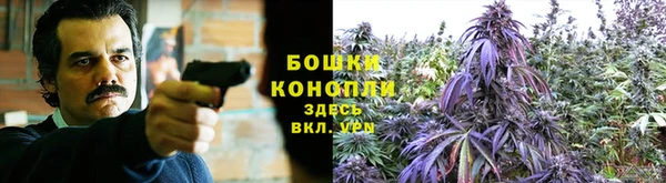 эйфоретик Инсар