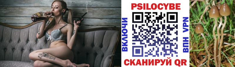 дарнет шоп  Кызыл  Псилоцибиновые грибы Cubensis 